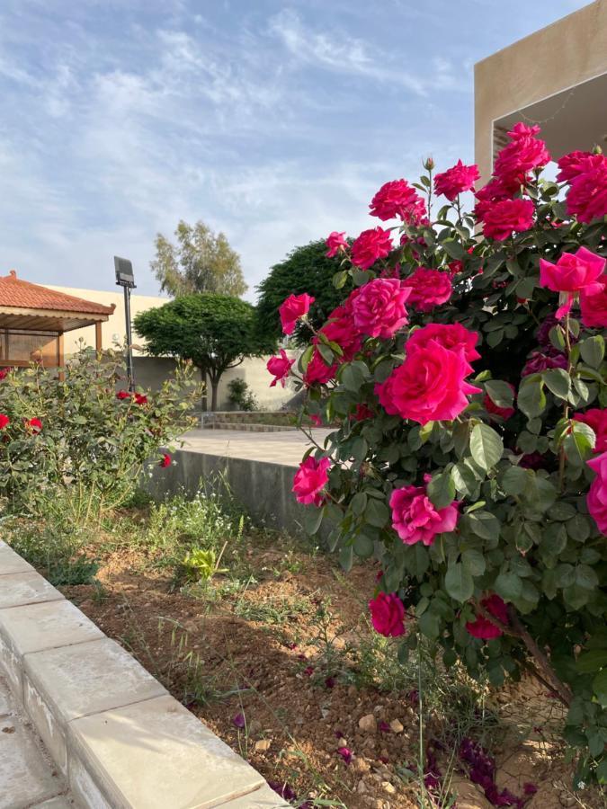 הוילה Al-Qasr مزرعة النجم Najem Farm מראה חיצוני תמונה