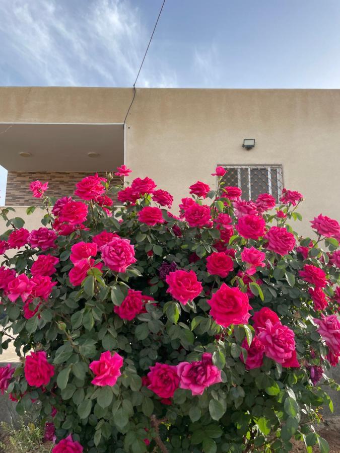 הוילה Al-Qasr مزرعة النجم Najem Farm מראה חיצוני תמונה